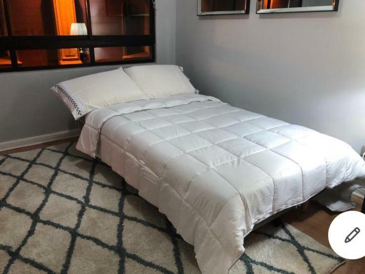 Stay Santiago Lastarria Bellas Artes Ngoại thất bức ảnh
